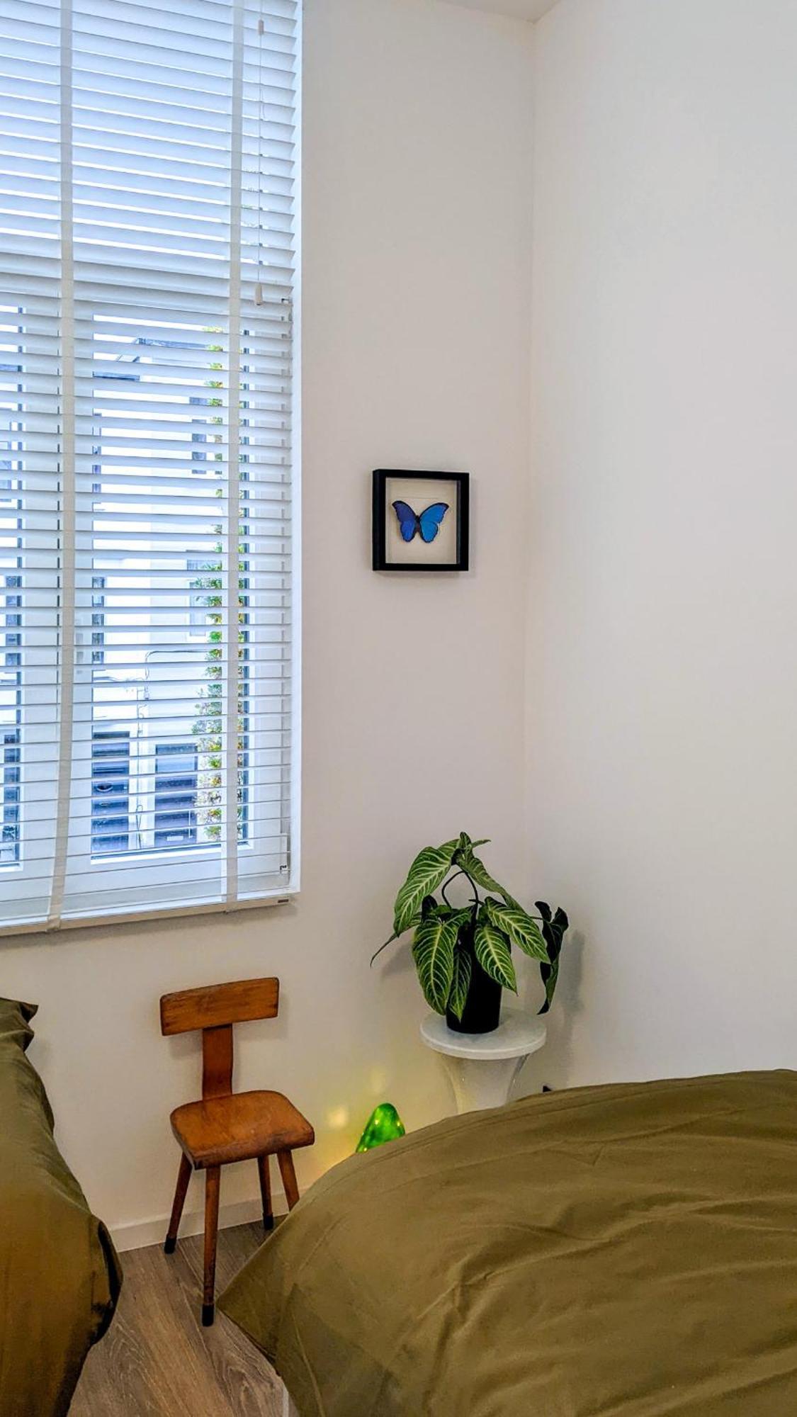 Vakantiehuis Josephine - *